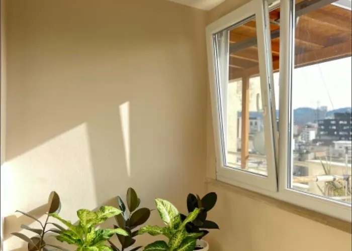 Apartman Above The *